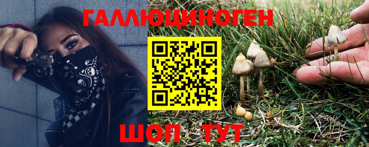 Псилоцибиновые грибы Psilocybine cubensis Самара